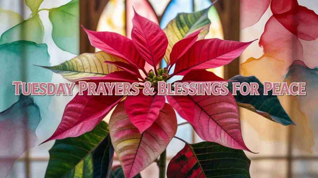 tuesday-prayers-and-blessings-for-peace